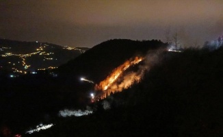 Trabzon&#039;da 100 dönümlük alanda örtü yangını çıktı