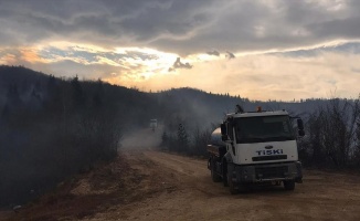 Trabzon'daki örtü yangınlarından 30'u söndürüldü