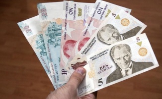 Yeni Türk Lirası banknotların zaman aşımı yıl sonunda dolacak