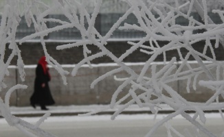 Doğu Anadolu'da 'dondurucu soğuklar' etkisini sürdürüyor