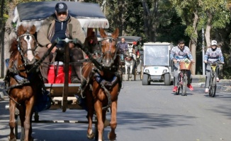 İBB, Adalar'daki faytonların plakalarını ve atları satın alacak