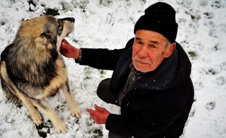 Sahipsiz köpeklere şefkatle bakıyor