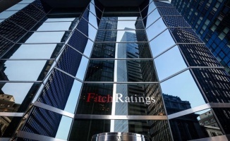 Fitch Direktörü Winslow'dan Türkiye'nin büyümesine ilişkin olumlu değerlendirme