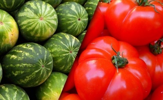 İstanbul hallerinde geçen yıl en çok karpuz ve domates satıldı