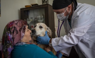 Evde kalan hastaların hayvanlarına yerinde veterinerlik hizmeti