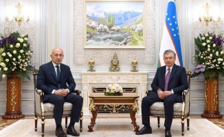 Rönesans Holding Başkanı Erman Ilıcak, Özbekistan Cumhurbaşkanı Şavkat Mirziyoyev ile görüştü