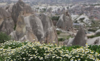 Kapadokya&#039;nın ilkbahar manzarası hayran bırakıyor