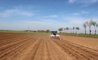 Kırsal kalkınma için 1,2 milyar liralık yeni hibe çağrısı