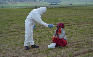 Sağlık Bakanlığından mevsimlik tarım işçilerine yönelik Kovid-19 tedbirleri