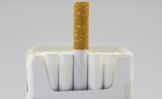 Sigara dünya genelinde her yıl 8 milyon can alıyor