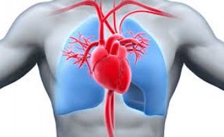 Kalp hastalarının karantina sürecinde dikkat etmesi gerekenler