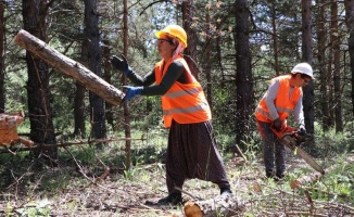 Cefakar kadınlar &#039;hayat müşterek&#039; diyerek eşlerini orman işlerinde yalnız bırakmıyor