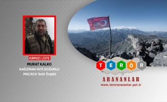 MİT'ten eylem hazırlığındaki PKK'ya operasyon