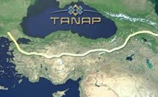 TANAP, Türkiye&#039;nin biyoçeşitliliğine değer katıyor