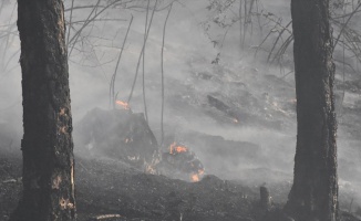 Bakan Pakdemirli: Bugün başlayan 11 orman yangınının 10’unu kontrol altına aldık