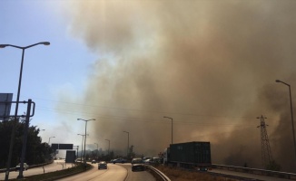 Hatay'da çıkan orman yangınına müdahale ediliyor