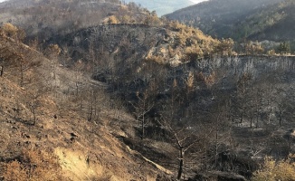 Spor kulüplerinden Hatay için 'fidan' kampanyası