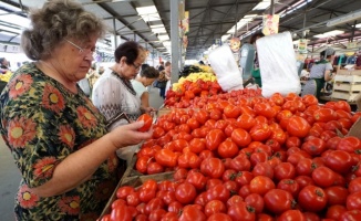 2025 yılına kadar Rusya pazarında ithal sebzelerin payı yüzde 10&#039;a düşebilir