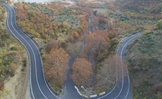 Ganos Ormanı sonbahara renk cümbüşü ile veda ediyor