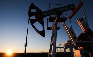 OPEC+ ülkeleri ocakta günlük petrol üretimini 500 bin varil artıracak