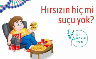 Hırsızın hiç mi suçu yok?