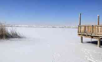 &#039;Kesin korunacak hassas alan&#039; ilan edilen Hafik Gölü&#039;nün yüzeyi buz tuttu