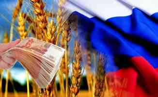 Rus tahılının dev ihracatçıları, vergiler nedeniyle alımlarını askıya aldı