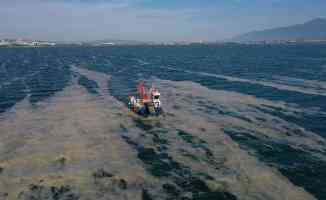 İzmit Körfezi&#039;nden 2 ayda 150 ton deniz salyası toplandı