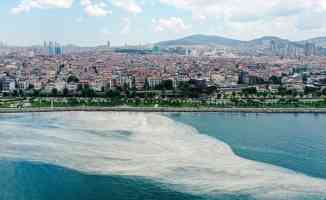 Marmara Denizi&#039;ndeki müsilaj sorununa acil çözüm için bilim insanları YÖK&#039;te toplanacak
