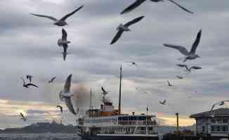 Marmara&#039;da parçalı bulutlu hava bekleniyor