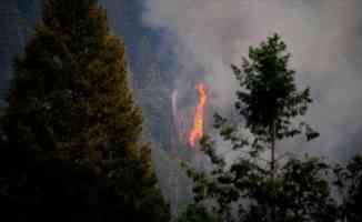 Californiya eyaleti orman yangınlarıyla mücadeleyi sürdürüyor