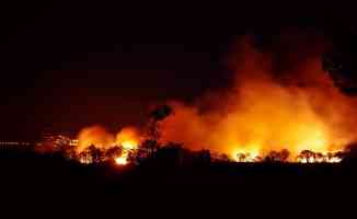 Fransa&#039;nın güneyindeki orman yangını halen kontrol altına alınamadı