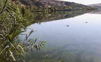 ODTÜ Eymir Gölü&#039;ndeki aşırı siyanobakteri artışını anbean takip ediyor