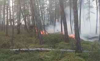 Rusya&#039;nın orman yangınlarıyla mücadelesi devam ediyor