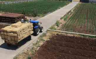 Tohumun İzinde Sosyal Sorumluluk Projesi kapsamında Hatay&#039;da 153 tohum materyali toplandı