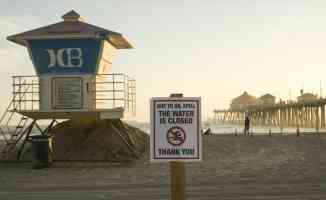 California&#039;da petrol sızıntısı deniz yaşamını tehdit ediyor