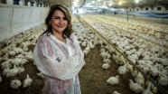 50 bin kapasiteli tavuk çiftliğinin kadın patronu
