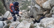600 metrede keçi kurtarma operasyonu