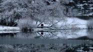 Abant ve Gölcük&#039;te kar güzelliği