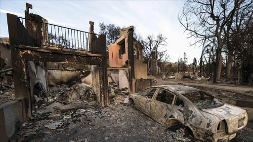 ABD'de yangınlarda evlerini kaybeden hane sahipleri Los Angeles şehir yönetimine dava açtı