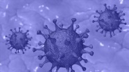 ABD'li uzmanlar: Mutasyona uğrayan koronavirüs zayıflıyor olabilir