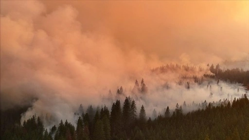 ABD'nin California eyaletinde orman yangını nedeniyle binlerce kişi tahliye edildi