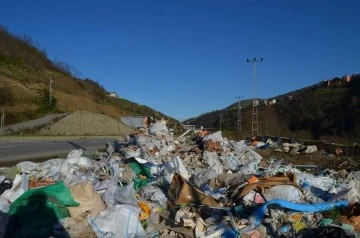 AB'de ithal edilen gıdadan fazlası çöpe gidiyor