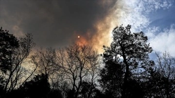 ABD'nin New Mexico eyaletinde dün başlayan orman yangınları nedeniyle OHAL ilan edildi