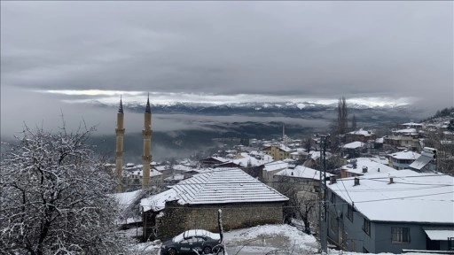 Adana'da kar yağışı etkili oluyor