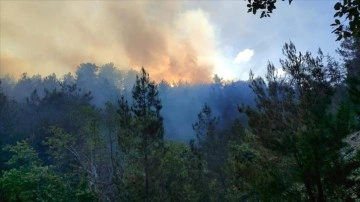 Adana'nın Feke ilçesinde çıkan orman yangınına müdahale ediliyor