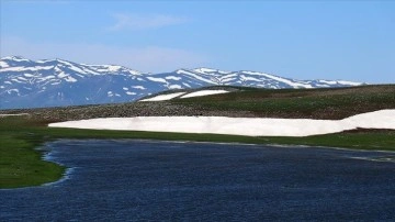 Ağrı'nın karlı dağlarında iki mevsim bir arada yaşanıyor