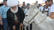 Akşehir'in 'en güzel gözlü eşeği' seçildi