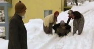 Alanya'da karda mahsur kalan kadın hasta kurtarıldı