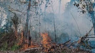 Amazonlar&#039;daki yangınlar insan müdahalesi ve küresel ısınmayla yoğunlaştı